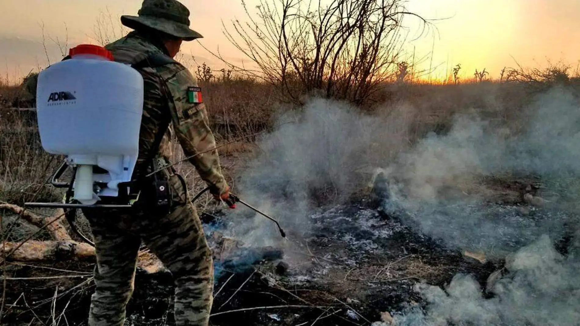 incendios en bosque